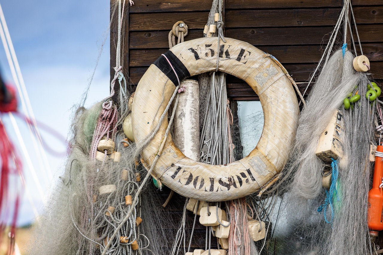 妄想山海国际服:外资公司变更注册代理