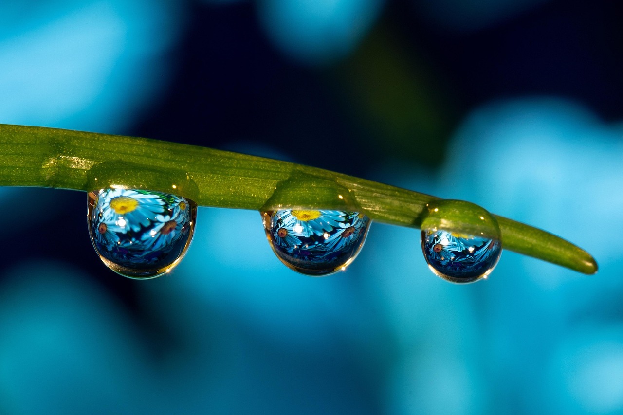 提速啦实名账号：中国私人飞机购买平台