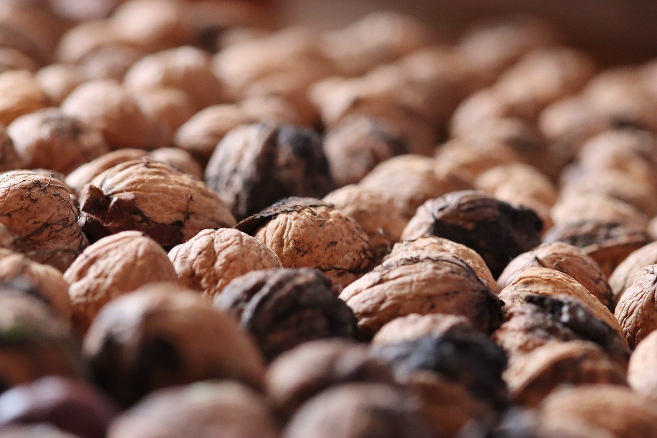 如何通过短信节省运营成本？ 