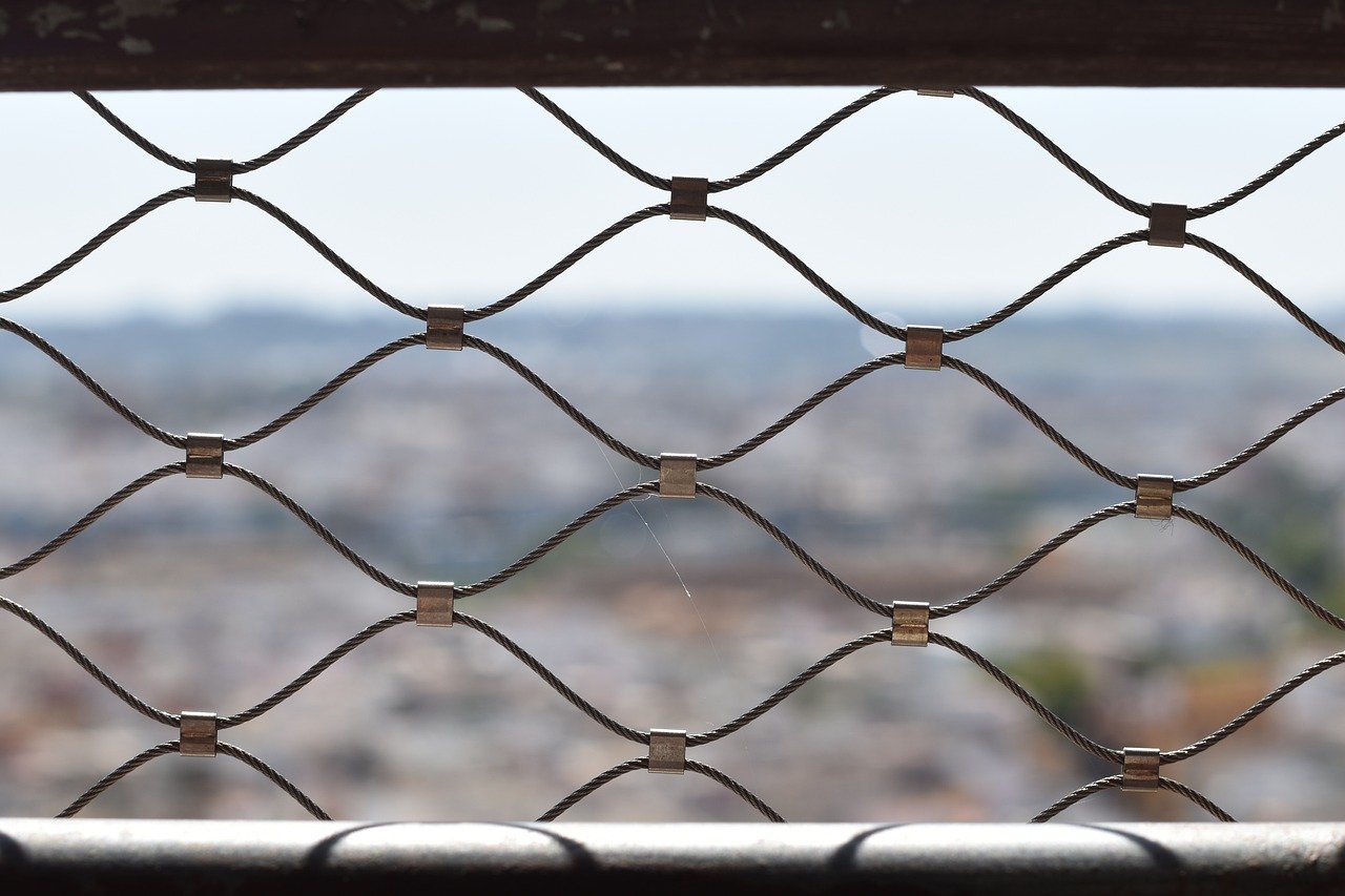 58同城实名账号：报名选调生要注册什么账号