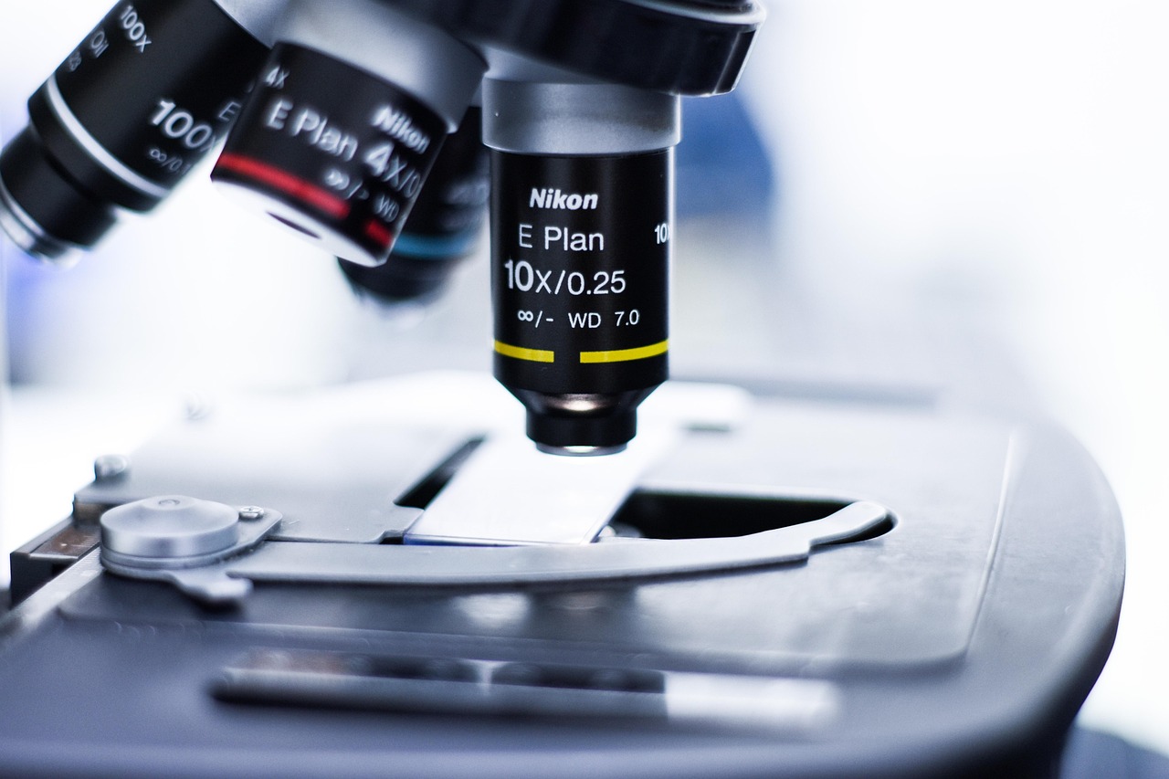 壁纸详情下载教程app