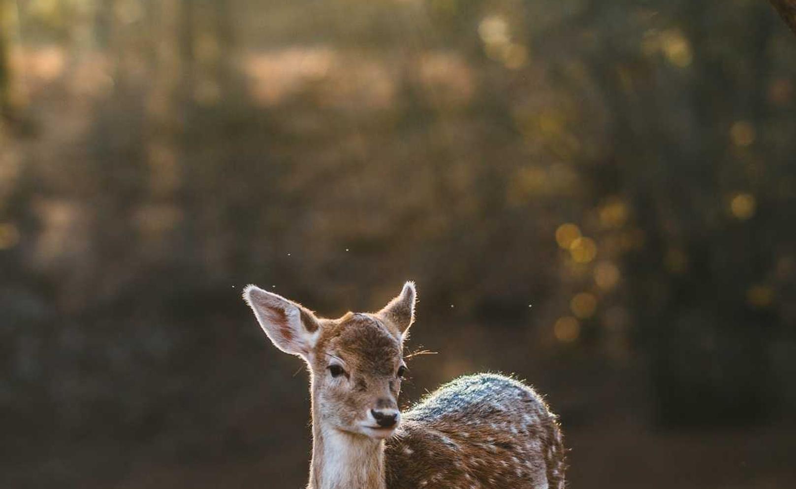 关于技术支持辅助的人性分析和玩家行为鉴别