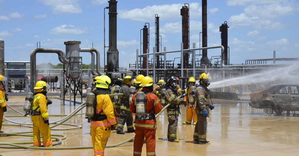 ELYON国际服辅助- 长沙字画平台代理哪个好