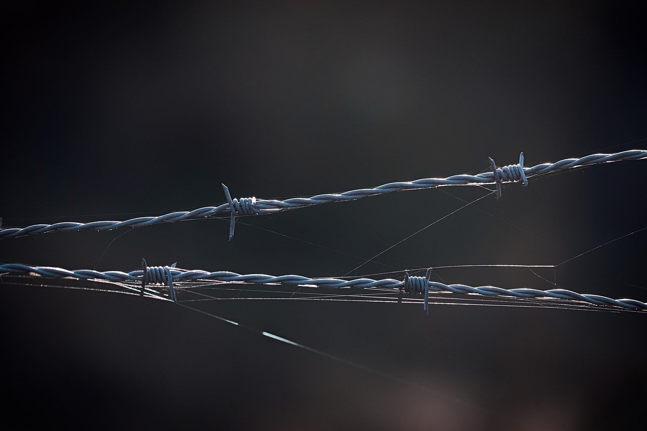 方盒万宝路柑橘爆珠:代理注册个体商户价格